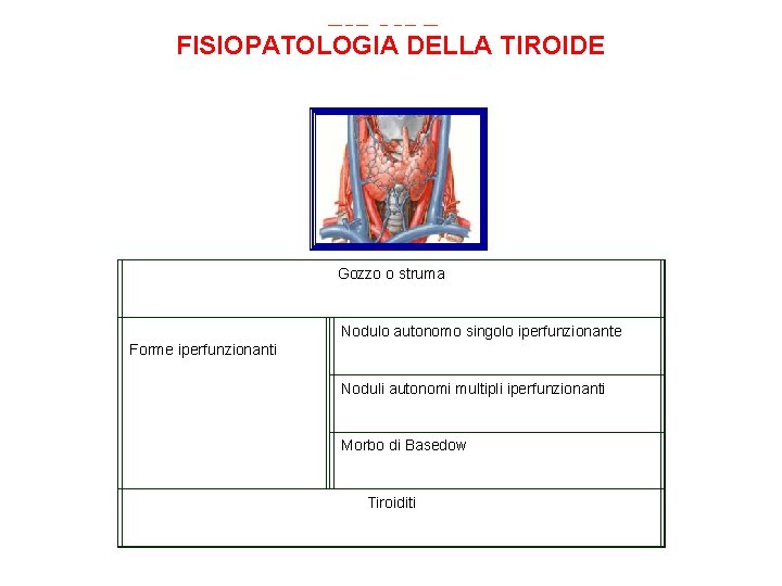 TIROIDE FISIOPATOLOGIA DELLA TIROIDE Gozzo o struma Forme iperfunzionanti Nodulo autonomo singolo iperfunzionante Noduli