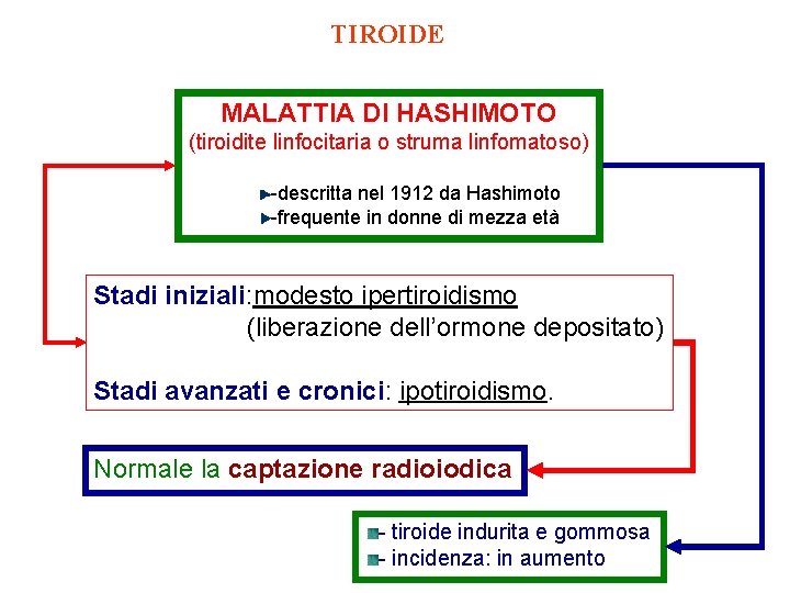 TIROIDE MALATTIA DI HASHIMOTO (tiroidite linfocitaria o struma linfomatoso) -descritta nel 1912 da Hashimoto