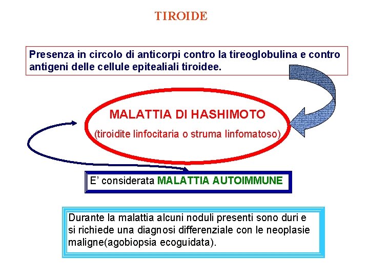 TIROIDE Presenza in circolo di anticorpi contro la tireoglobulina e contro antigeni delle cellule