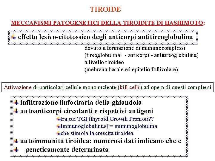 TIROIDE MECCANISMI PATOGENETICI DELLA TIROIDITE DI HASHIMOTO: effetto lesivo-citotossico degli anticorpi antitireoglobulina dovuto a