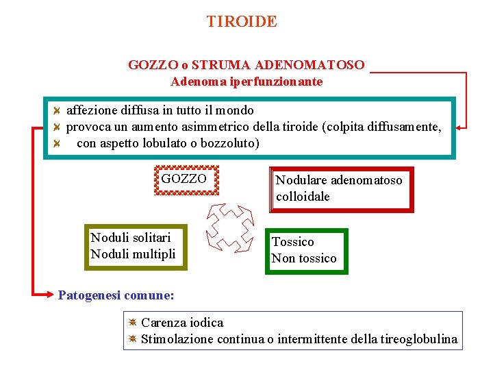 TIROIDE GOZZO o STRUMA ADENOMATOSO Adenoma iperfunzionante affezione diffusa in tutto il mondo provoca