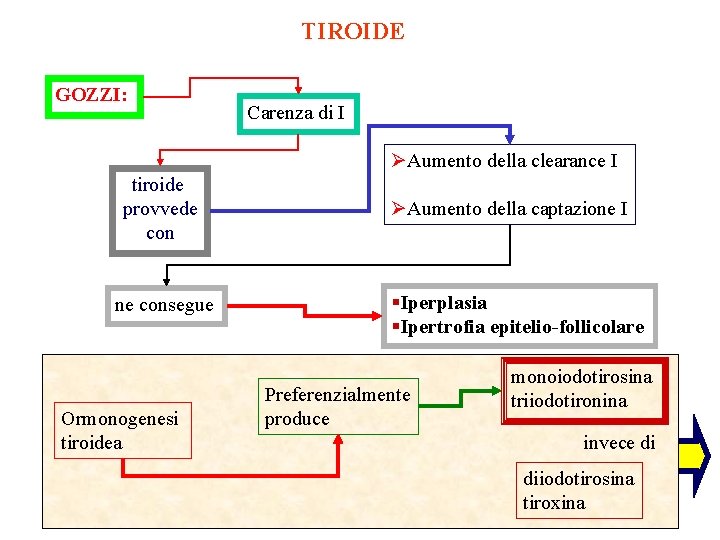 TIROIDE GOZZI: Carenza di I ØAumento della clearance I tiroide provvede con ne consegue