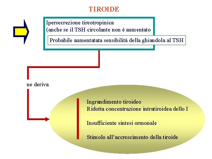 TIROIDE Ipersecrezione tireotropinica (anche se il TSH circolante non è aumentato Probabile aumentatata sensibilità