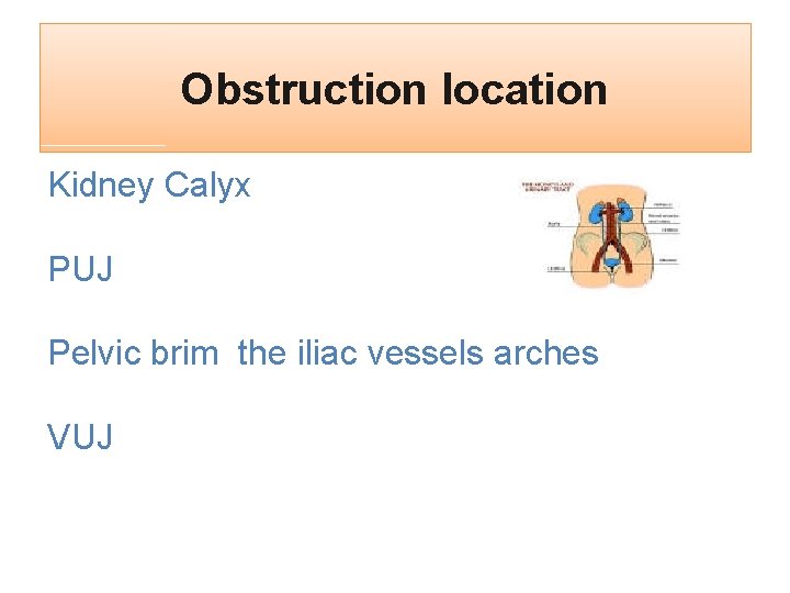 Obstruction location Kidney Calyx PUJ Pelvic brim the iliac vessels arches VUJ 