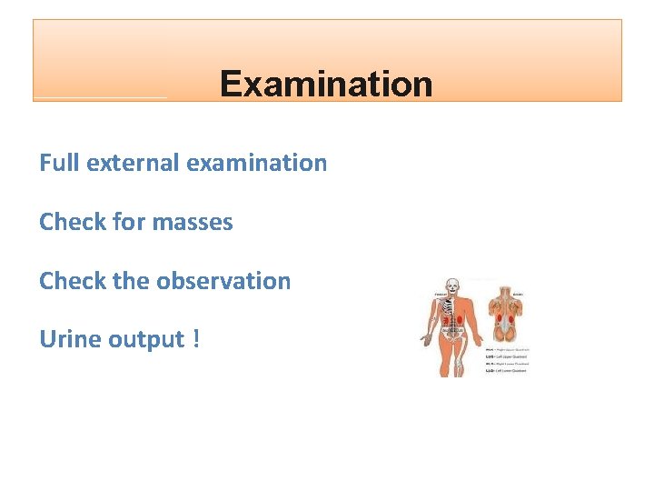 Examination Full external examination Check for masses Check the observation Urine output ! 