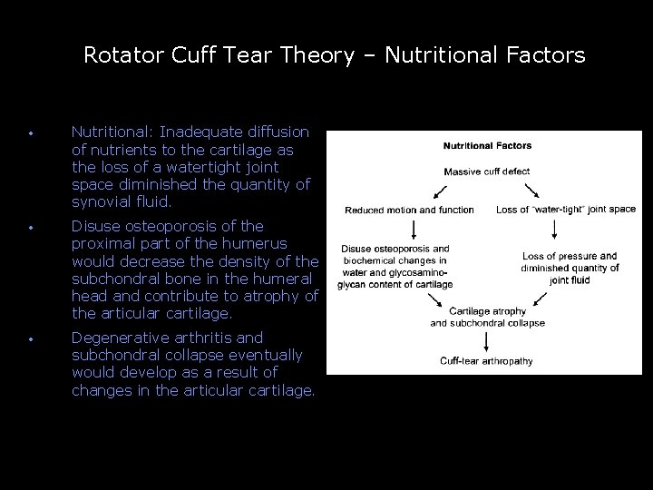 Rotator Cuff Tear Theory – Nutritional Factors -- • Nutritional: Inadequate diffusion of nutrients