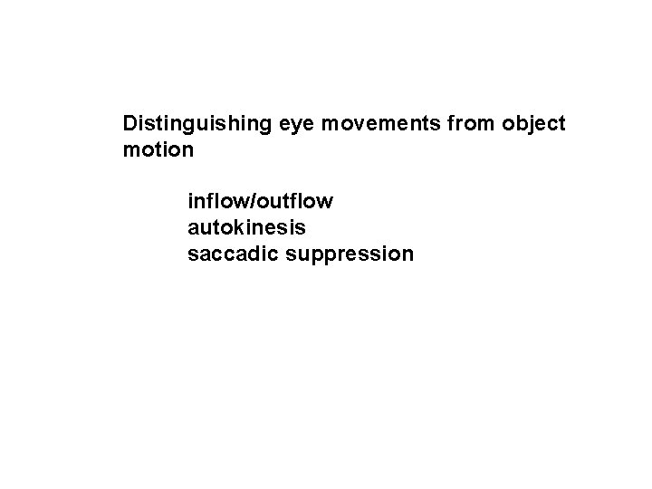 Distinguishing eye movements from object motion inflow/outflow autokinesis saccadic suppression 