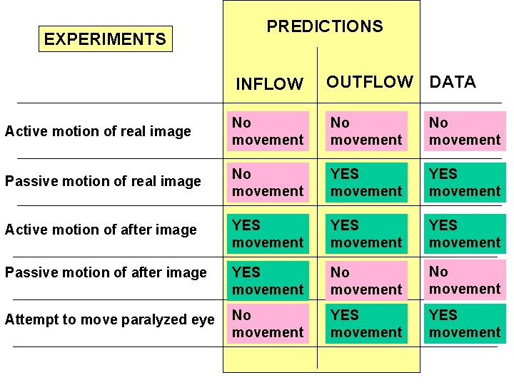 EXPERIMENTS PREDICTIONS INFLOW OUTFLOW DATA Active motion of real image No movement Passive motion