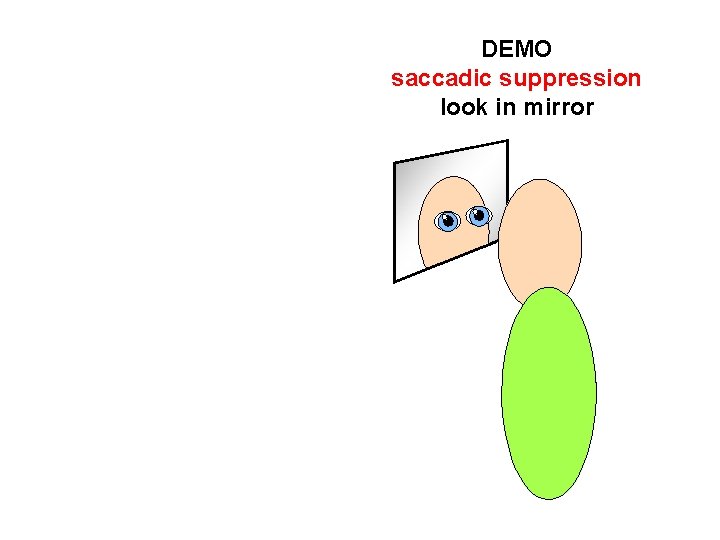DEMO saccadic suppression look in mirror 