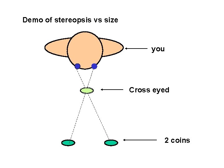 Demo of stereopsis vs size you Cross eyed 2 coins 