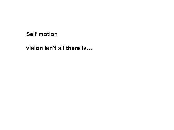 Self motion vision isn’t all there is… 