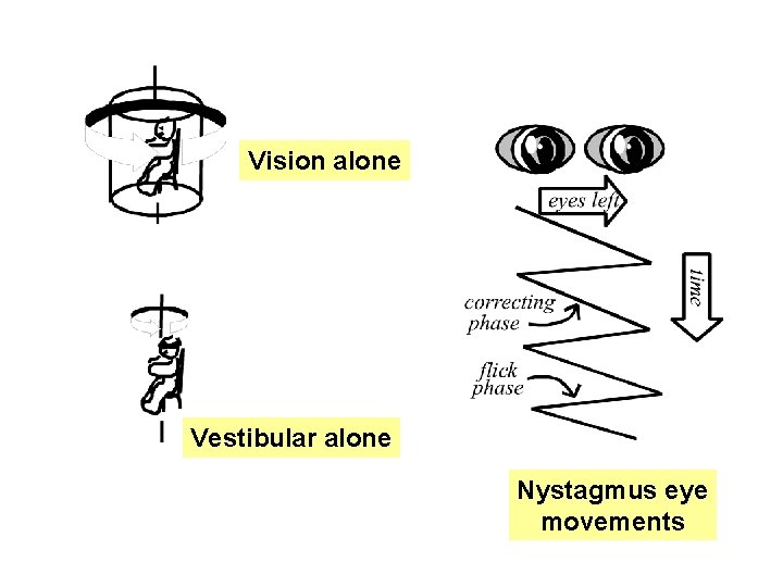 Vision alone Vestibular alone Nystagmus eye movements 