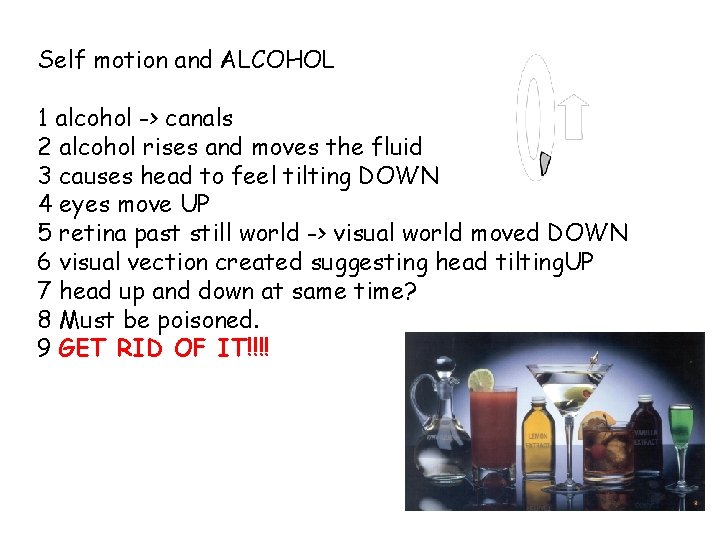 Self motion and ALCOHOL 1 alcohol -> canals 2 alcohol rises and moves the