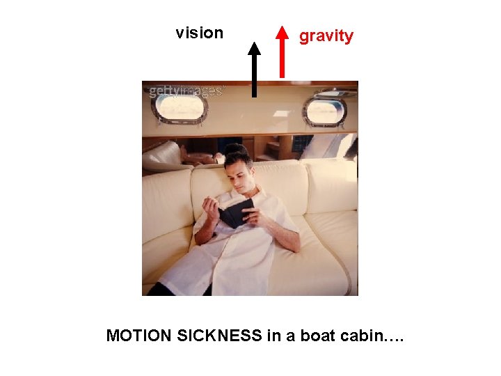 vision gravity MOTION SICKNESS in a boat cabin…. 