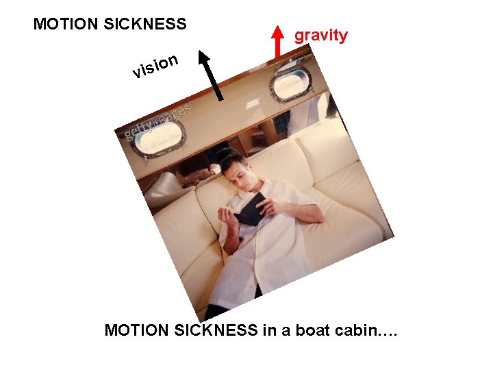 MOTION SICKNESS gravity n o visi MOTION SICKNESS in a boat cabin…. 