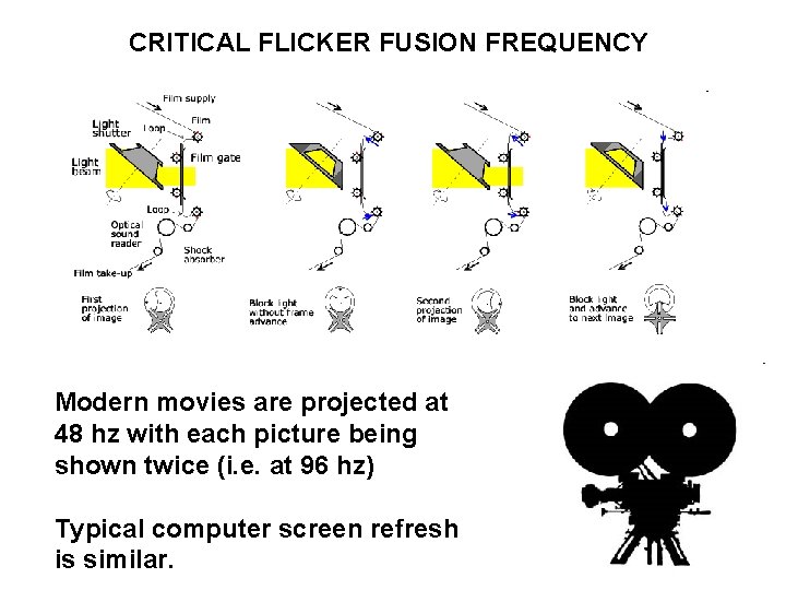 CRITICAL FLICKER FUSION FREQUENCY Modern movies are projected at 48 hz with each picture