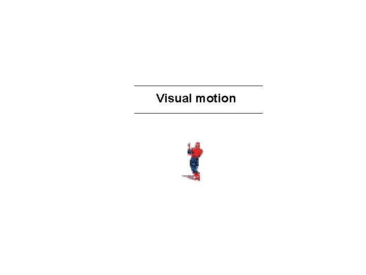 Visual motion 