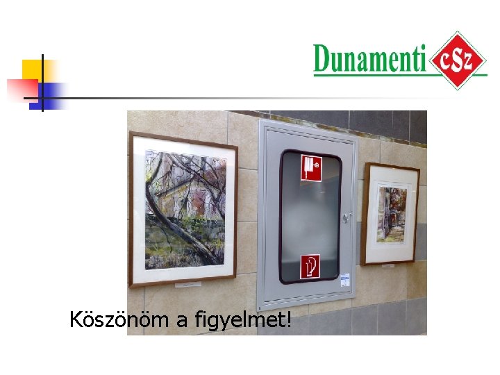 Köszönöm a figyelmet! 