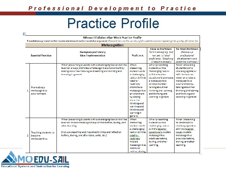 Professional Development to Practice Profile 