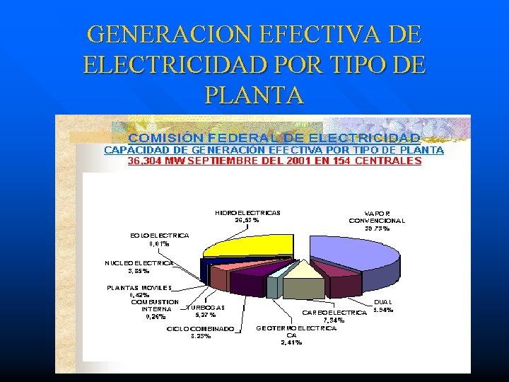 GENERACION EFECTIVA DE ELECTRICIDAD POR TIPO DE PLANTA 