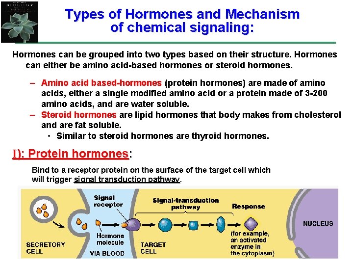 Types of Hormones and Mechanism of chemical signaling: Hormones can be grouped into two