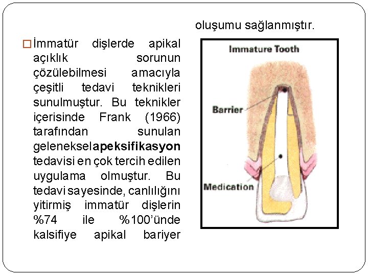 oluşumu sağlanmıştır. � İmmatür dişlerde apikal açıklık sorunun çözülebilmesi amacıyla çeşitli tedavi teknikleri sunulmuştur.