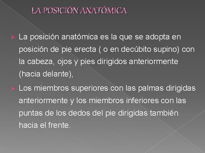 LA POSICIÓN ANATÓMICA Ø La posición anatómica es la que se adopta en posición