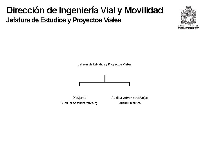 Dirección de Ingeniería Vial y Movilidad Jefatura de Estudios y Proyectos Viales Jefe(a) de