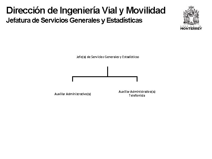 Dirección de Ingeniería Vial y Movilidad Jefatura de Servicios Generales y Estadísticas Jefe(a) de