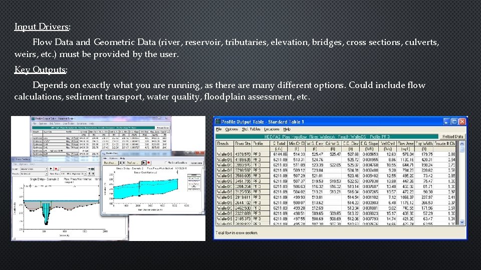 Input Drivers: Flow Data and Geometric Data (river, reservoir, tributaries, elevation, bridges, cross sections,