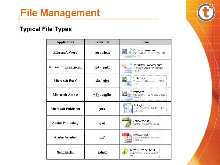 File Management Typical File Types 