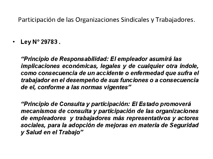 Participación de las Organizaciones Sindicales y Trabajadores. • Ley N° 29783. “Principio de Responsabilidad: