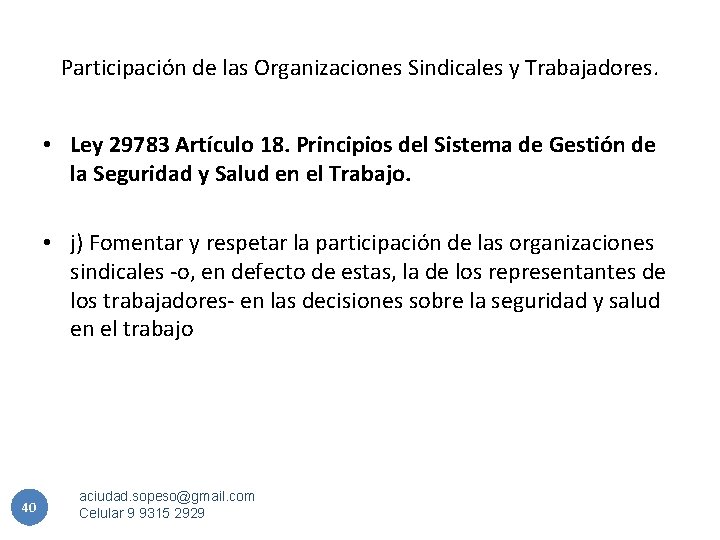 Participación de las Organizaciones Sindicales y Trabajadores. • Ley 29783 Artículo 18. Principios del