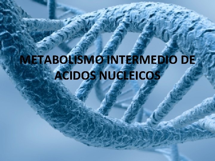 METABOLISMO INTERMEDIO DE ACIDOS NUCLEICOS 