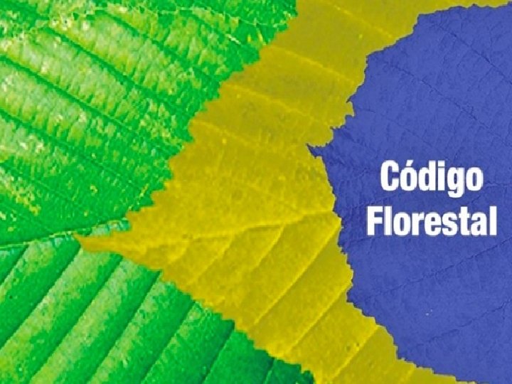 CÓDIGO FLORESTAL 
