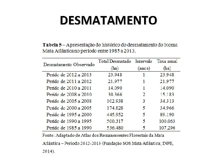 DESMATAMENTO 