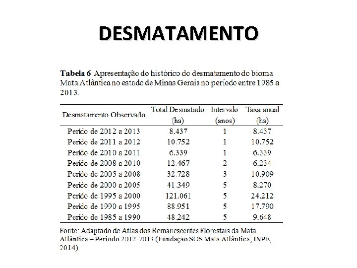 DESMATAMENTO 
