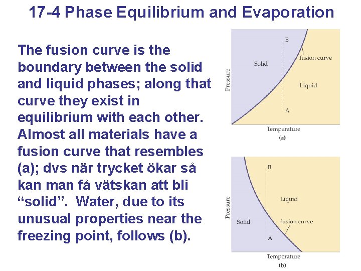 17 -4 Phase Equilibrium and Evaporation The fusion curve is the boundary between the