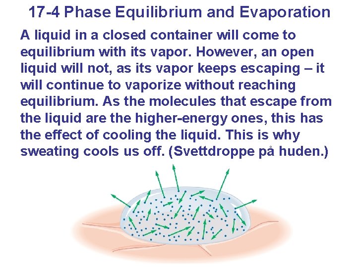 17 -4 Phase Equilibrium and Evaporation A liquid in a closed container will come