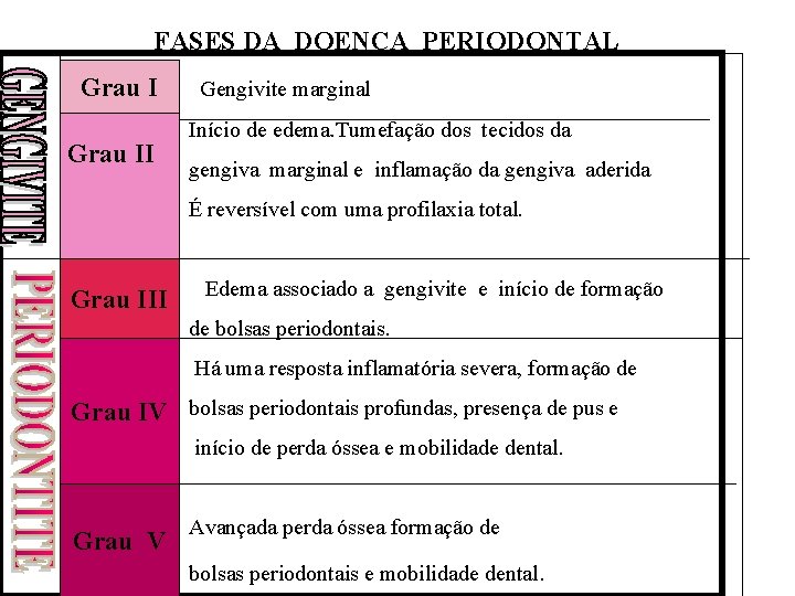 FASES DA DOENÇA PERIODONTAL Grau I Gengivite marginal Início de edema. Tumefação dos tecidos