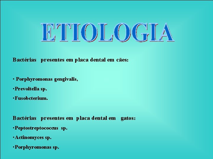 Bactérias presentes em placa dental em cães: • Porphyromonas gengivalis, • Prevoltella sp. •
