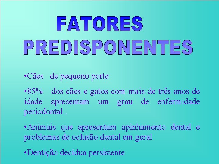  • Cães de pequeno porte • 85% dos cães e gatos com mais