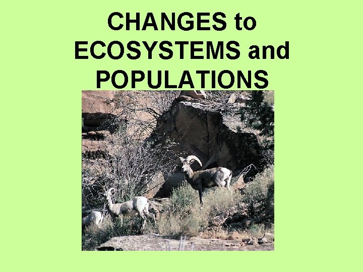 CHANGES to ECOSYSTEMS and POPULATIONS CHANGES to ECOSYSTEMS and POPULATIONS