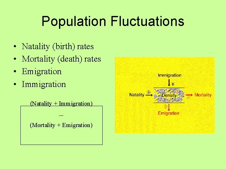 Population Fluctuations • • Natality (birth) rates Mortality (death) rates Emigration Immigration (Natality + Population Fluctuations • • Natality (birth) rates Mortality (death) rates Emigration Immigration (Natality +