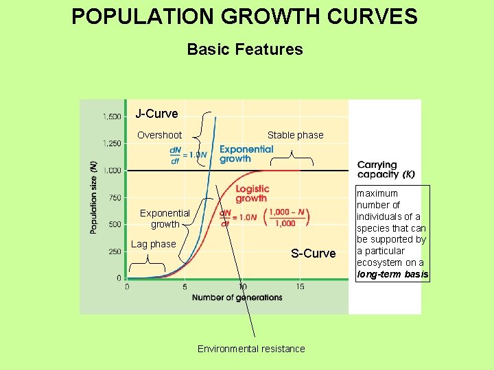 POPULATION GROWTH CURVES Basic Features J-Curve Overshoot Stable phase Exponential growth Lag phase S-Curve POPULATION GROWTH CURVES Basic Features J-Curve Overshoot Stable phase Exponential growth Lag phase S-Curve