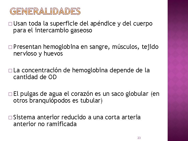 � Usan toda la superficie del apéndice y del cuerpo para el intercambio gaseoso