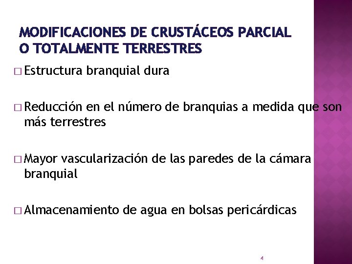MODIFICACIONES DE CRUSTÁCEOS PARCIAL O TOTALMENTE TERRESTRES � Estructura branquial dura � Reducción en