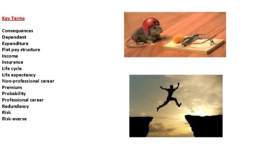 Key Terms Consequences Dependant Expenditure Flat pay structure Income Insurance Life cycle Life expectancy