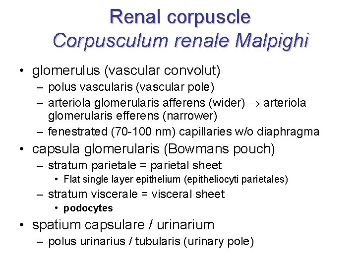 Renal corpuscle Corpusculum renale Malpighi • glomerulus (vascular convolut) – polus vascularis (vascular pole) Renal corpuscle Corpusculum renale Malpighi • glomerulus (vascular convolut) – polus vascularis (vascular pole)
