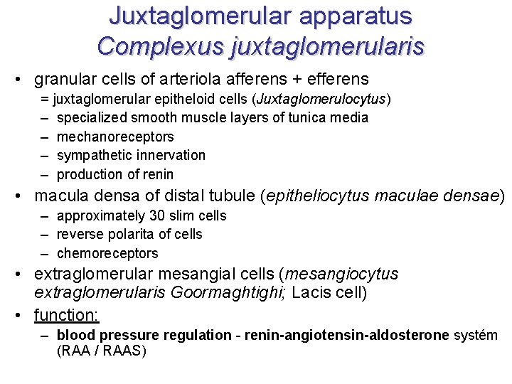 Juxtaglomerular apparatus Complexus juxtaglomerularis • granular cells of arteriola afferens + efferens = juxtaglomerular Juxtaglomerular apparatus Complexus juxtaglomerularis • granular cells of arteriola afferens + efferens = juxtaglomerular